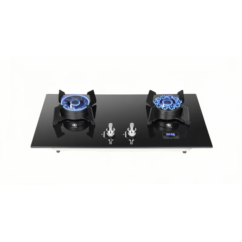 Portable Double Burner Gas Sto - Camping Cooking Top ulasan dan harga